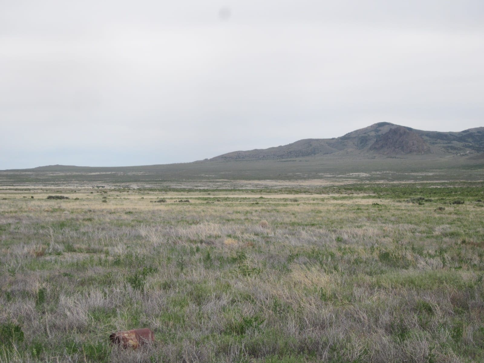 10.00 Huge Acres ~ Utah Ranchette Footsteps from the Nevada State Line photo 19