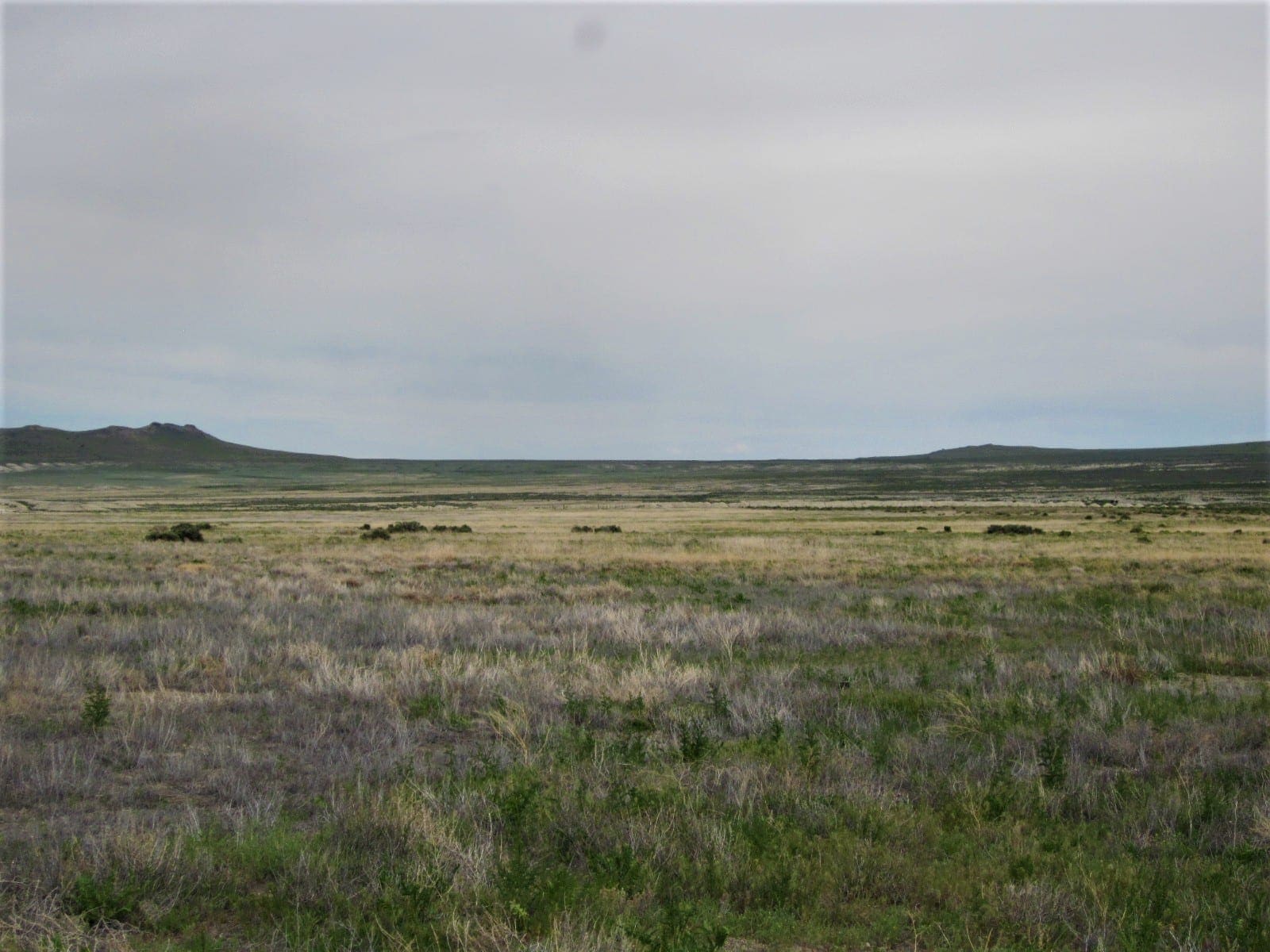 10.00 Huge Acres ~ Utah Ranchette Footsteps from the Nevada State Line photo 20