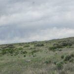 Thumbnail of 10.00 Huge Acres ~ Utah Ranchette Footsteps from the Nevada State Line Photo 24