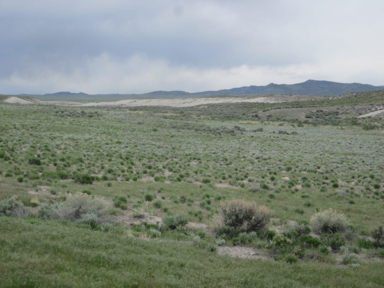 Gorgeous large 108.35 Acre Ranch in NW Utah on Nevada Border near Sawtooth Nat. forest photo 10
