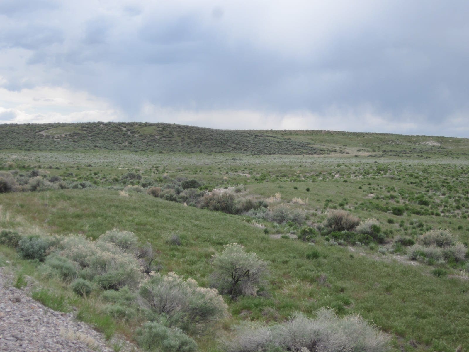 Gorgeous large 108.35 Acre Ranch in NW Utah on Nevada Border near Sawtooth Nat. forest photo 11