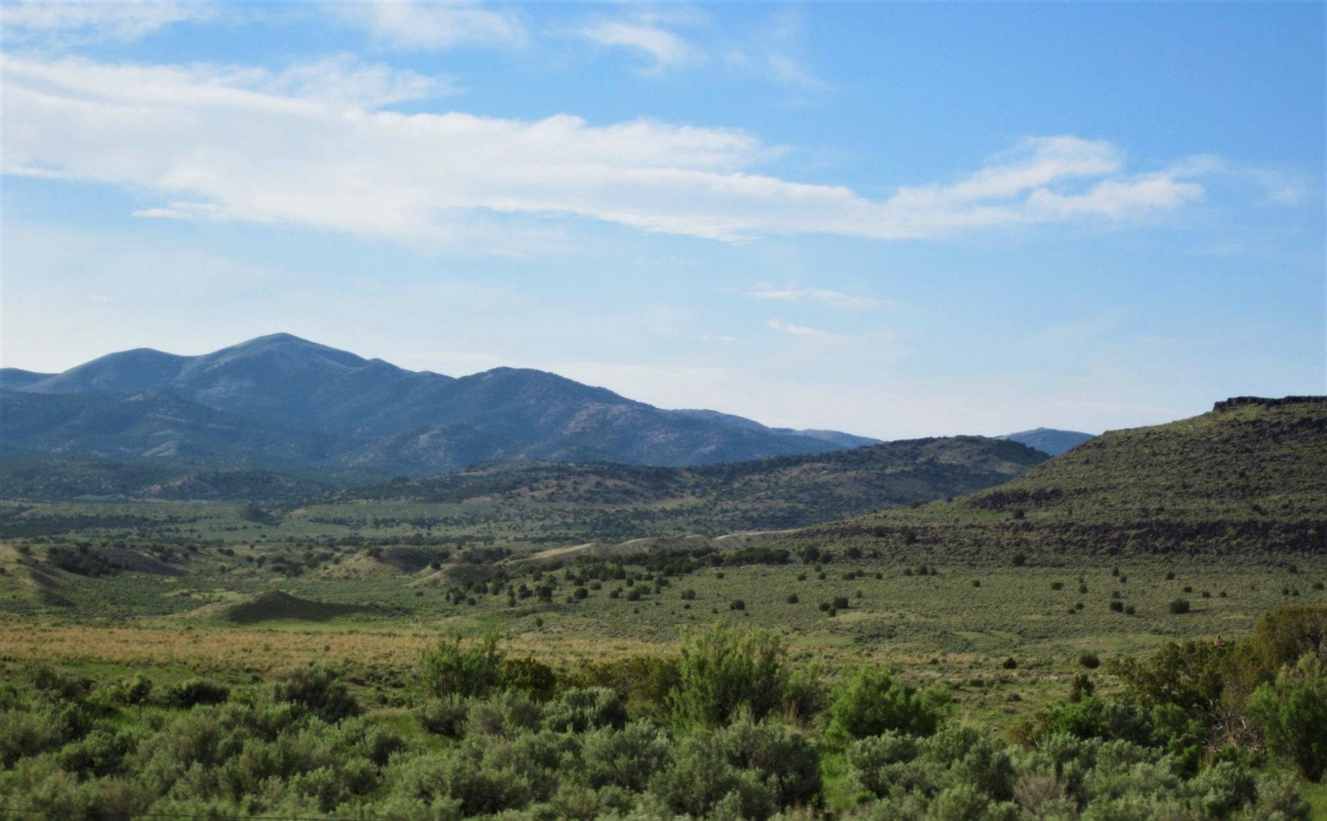 Treed 10.00 Acre Lot with County Maintained Dove Creek Road Running Through it ~ Come Enjoy Box Elder County! photo 26