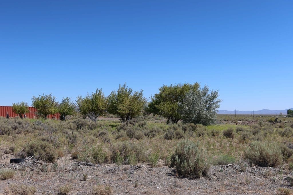 Large view of .75 Acre Lot in Beautiful Gilman Springs, Northern Nevada. Photo 11