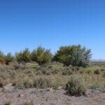 Thumbnail of .75 Acre Lot in Beautiful Gilman Springs, Northern Nevada. Photo 11