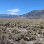 Thumbnail of Quaint 0.91 Acres In Lander County, Nevada ~ Exclusive & Safe Quiet Small Community of Gillman Springs Photo 21