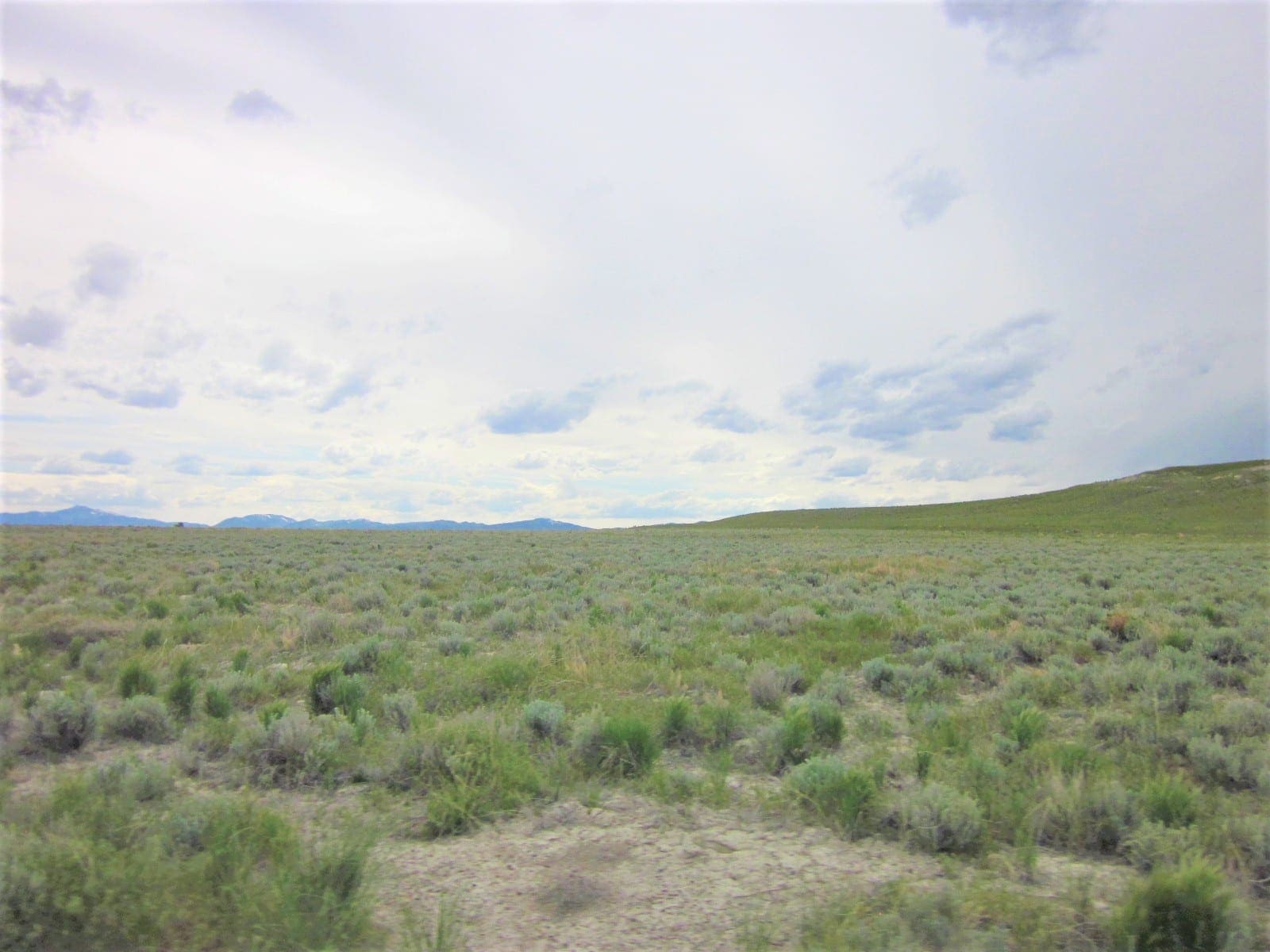 Gorgeous large 108.35 Acre Ranch in NW Utah on Nevada Border near Sawtooth Nat. forest photo 21