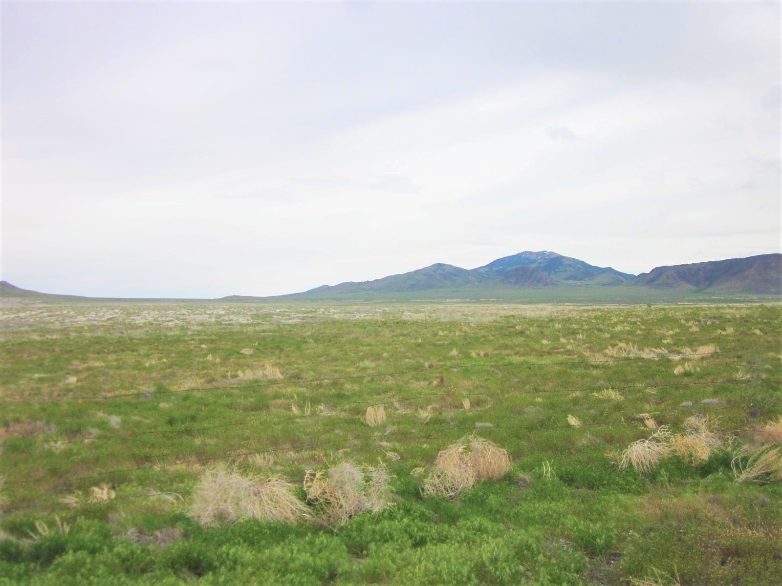 Gorgeous large 108.35 Acre Ranch in NW Utah on Nevada Border near Sawtooth Nat. forest photo 27