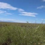 Thumbnail of Quaint 0.91 Acres In Lander County, Nevada ~ Exclusive & Safe Quiet Small Community of Gillman Springs Photo 25