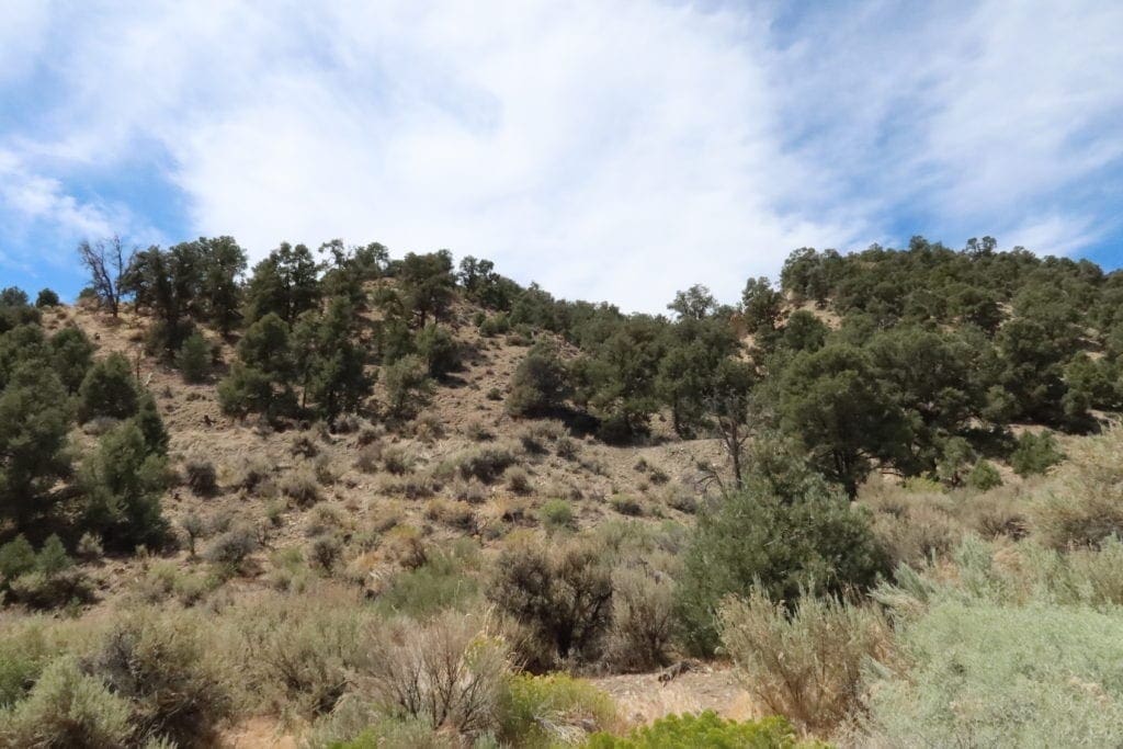 Large view of Gorgeous Building Lot In Kingston, Nevada on the Heels of Toiyabe National Forest Photo 14