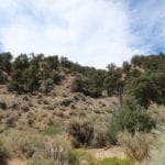 Thumbnail of Gorgeous Building Lot In Kingston, Nevada on the Heels of Toiyabe National Forest Photo 14
