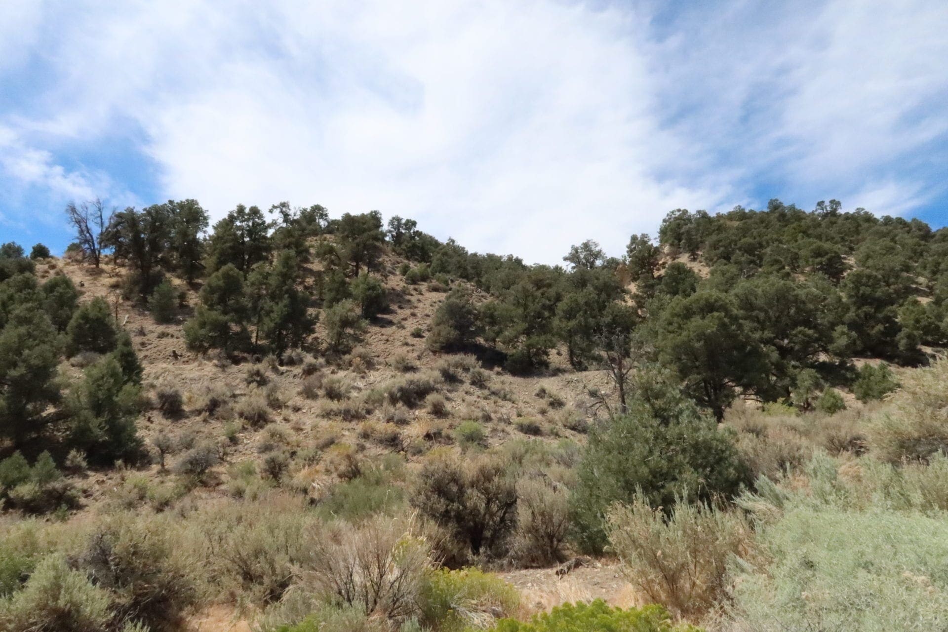 Gorgeous Building Lot In Kingston, Nevada on the Heels of Toiyabe National Forest photo 14