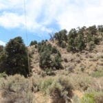 Thumbnail of Gorgeous Building Lot In Kingston, Nevada on the Heels of Toiyabe National Forest Photo 10