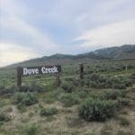 Thumbnail of Treed 10.00 Acre Lot with County Maintained Dove Creek Road Running Through it ~ Come Enjoy Box Elder County! Photo 21