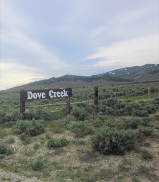 Treed 10.00 Acre Lot with County Maintained Dove Creek Road Running Through it ~ Come Enjoy Box Elder County!