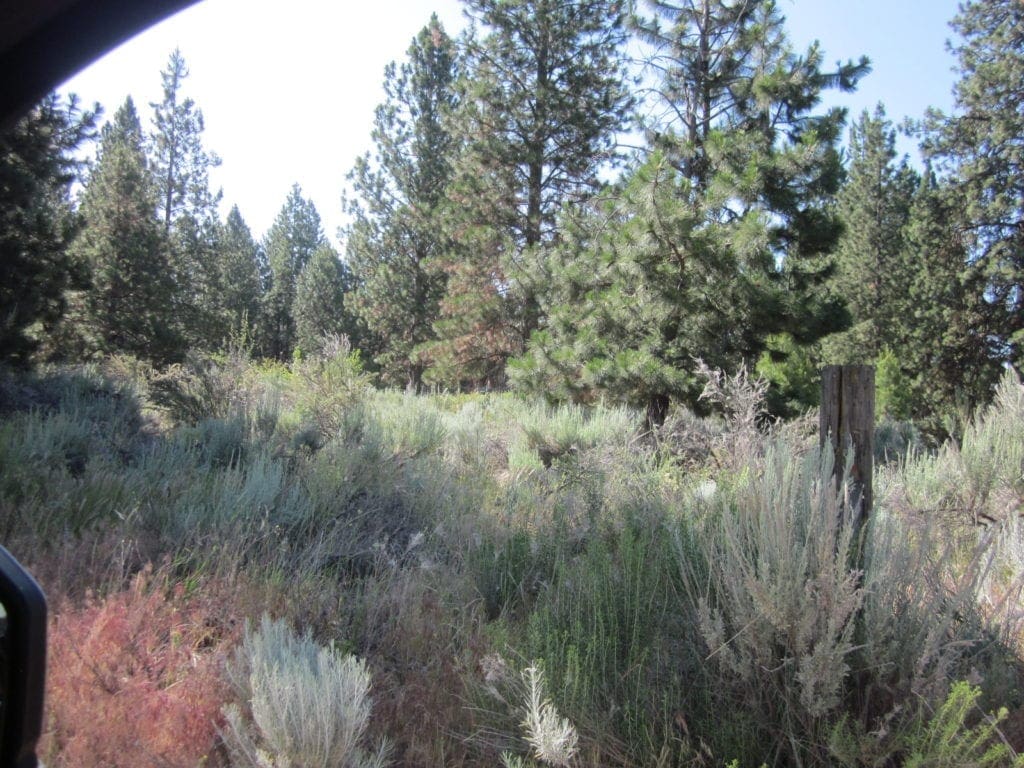 Large view of Great Building Parcel On .23 Acres Of Latakomie Shores In Klamath County Oregon Photo 1