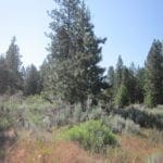 Thumbnail of Great Building Parcel On .23 Acres Of Latakomie Shores In Klamath County Oregon Photo 5