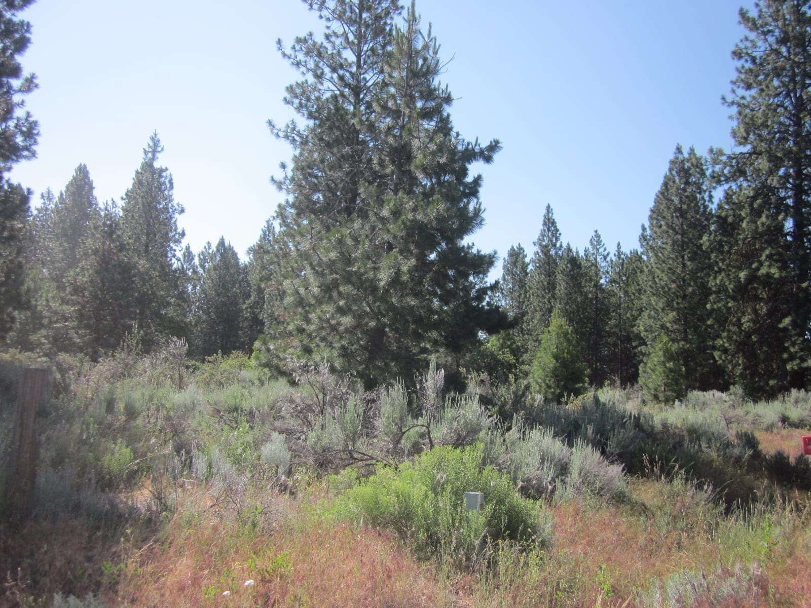 Great Building Parcel On .23 Acres Of Latakomie Shores In Klamath County Oregon photo 5