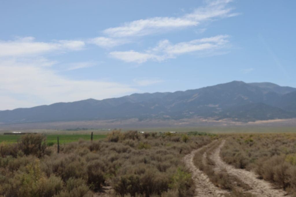 Large view of Beautiful Large Acreage 10.33 Steps from Duck Creek in Eastern Nevada Near Great Basin National Park Photo 10
