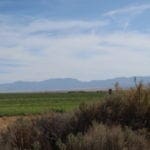Thumbnail of Beautiful Large Acreage 10.33 Steps from Duck Creek in Eastern Nevada Near Great Basin National Park Photo 21