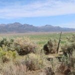 Thumbnail of Farm and Ranch Land for Sale N.E. Nevada @ 2133 E 1551 N Ely, Nevada – Duck Creek & Mattler Creek Photo 2
