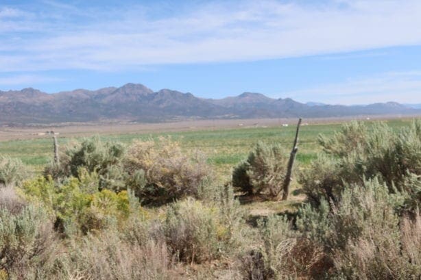 Farm and Ranch Land for Sale N.E. Nevada @ 2133 E 1551 N Ely, Nevada – Duck Creek & Mattler Creek