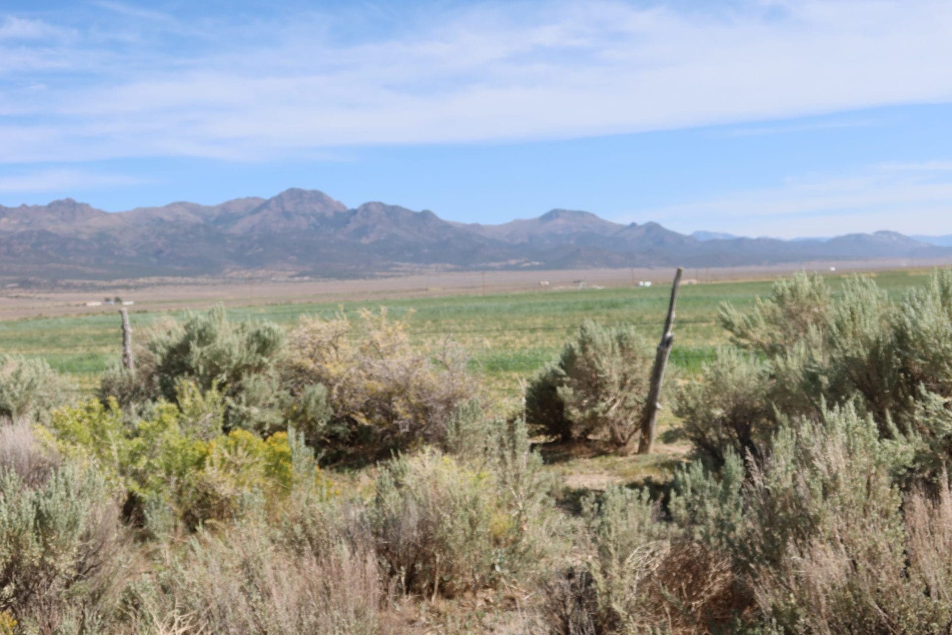 Farm and Ranch Land for Sale N.E. Nevada @ 2133 E 1551 N Ely, Nevada – Duck Creek & Mattler Creek photo 2