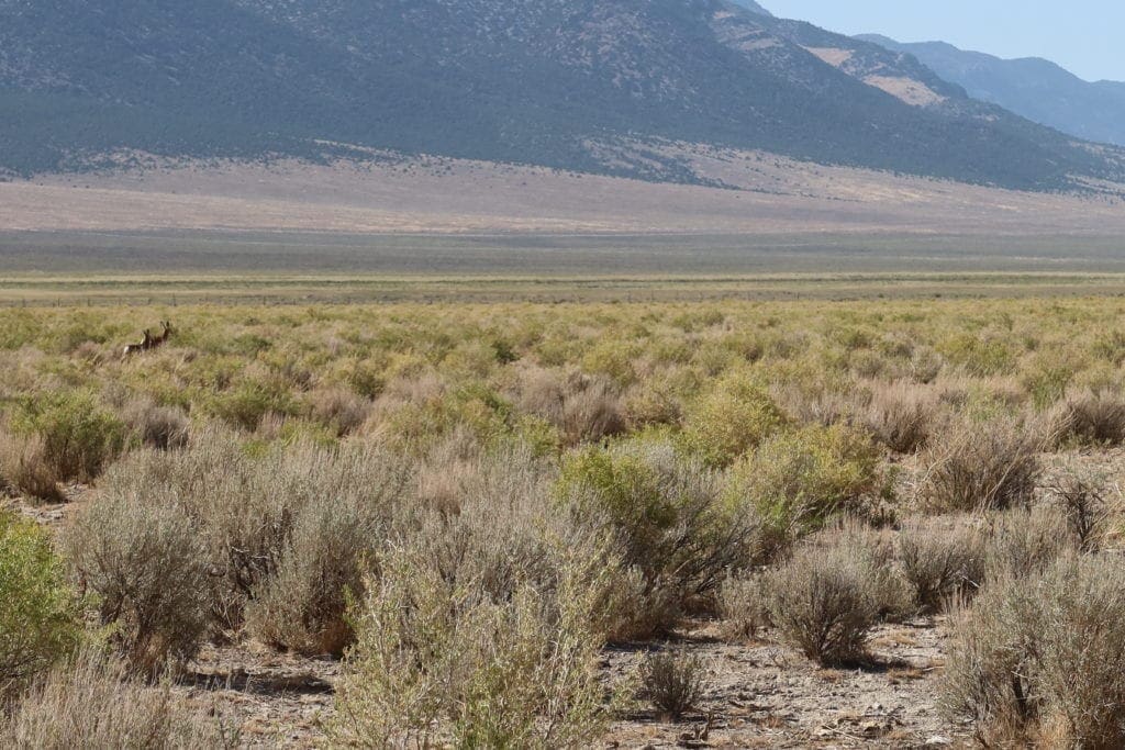 Large view of Gorgeous 10.32 Acre Ranch Property near Ely Nevada with Hemp Growing Possibilities Photo 25