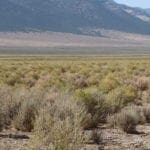 Thumbnail of Gorgeous 10.32 Acre Ranch Property near Ely Nevada with Hemp Growing Possibilities Photo 25