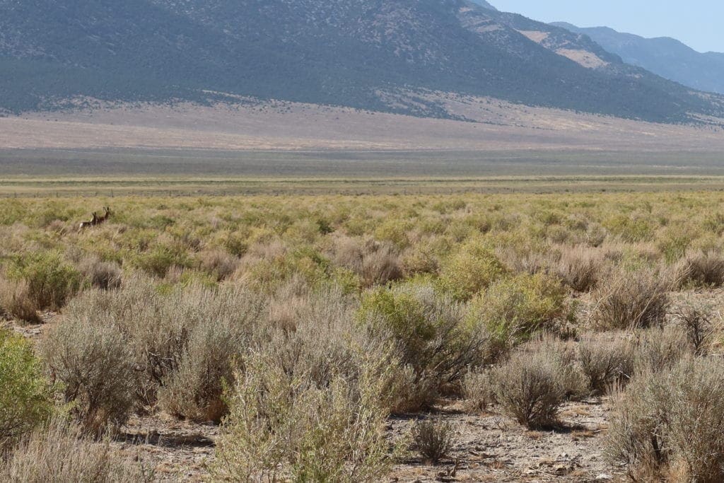 Large view of Gorgeous 10.32 Acre Ranch Property near Ely Nevada with Hemp Growing Possibilities Photo 8