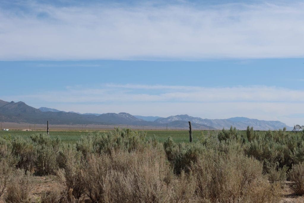 Large view of Beautiful Large Acreage 10.33 Steps from Duck Creek in Eastern Nevada Near Great Basin National Park Photo 14