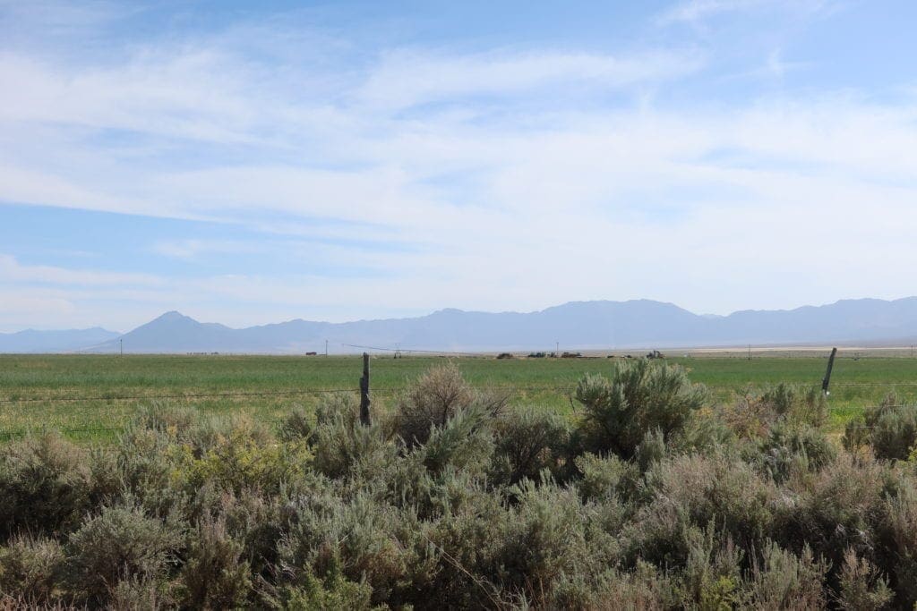 Large view of Beautiful Large Acreage 10.33 Steps from Duck Creek in Eastern Nevada Near Great Basin National Park Photo 20