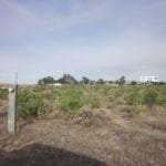 Thumbnail of 2.410 Acre Commercial Billboard Property Fronts I-80 & Adjacent to Museum Photo 7
