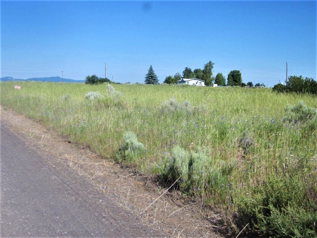 Large view of Gorgeous 0.37 Acre Building lot in Oregon Shores Photo 9