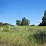 Thumbnail of Gorgeous 0.37 Acre Building lot in Oregon Shores Photo 10