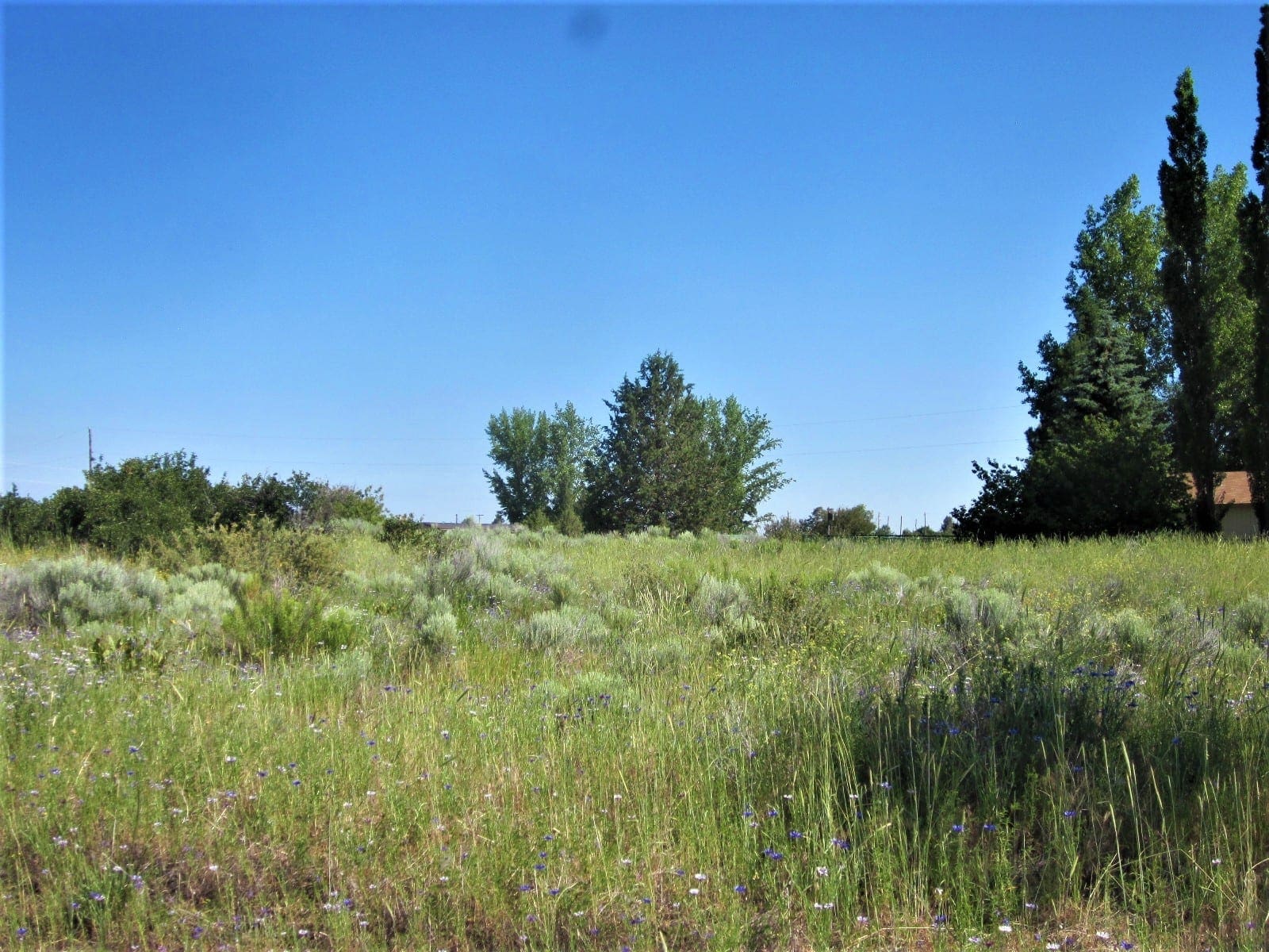 Gorgeous 0.37 Acre Building lot in Oregon Shores photo 10