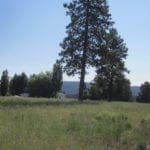 Thumbnail of Gorgeous 0.37 Acre Building lot in Oregon Shores Photo 11