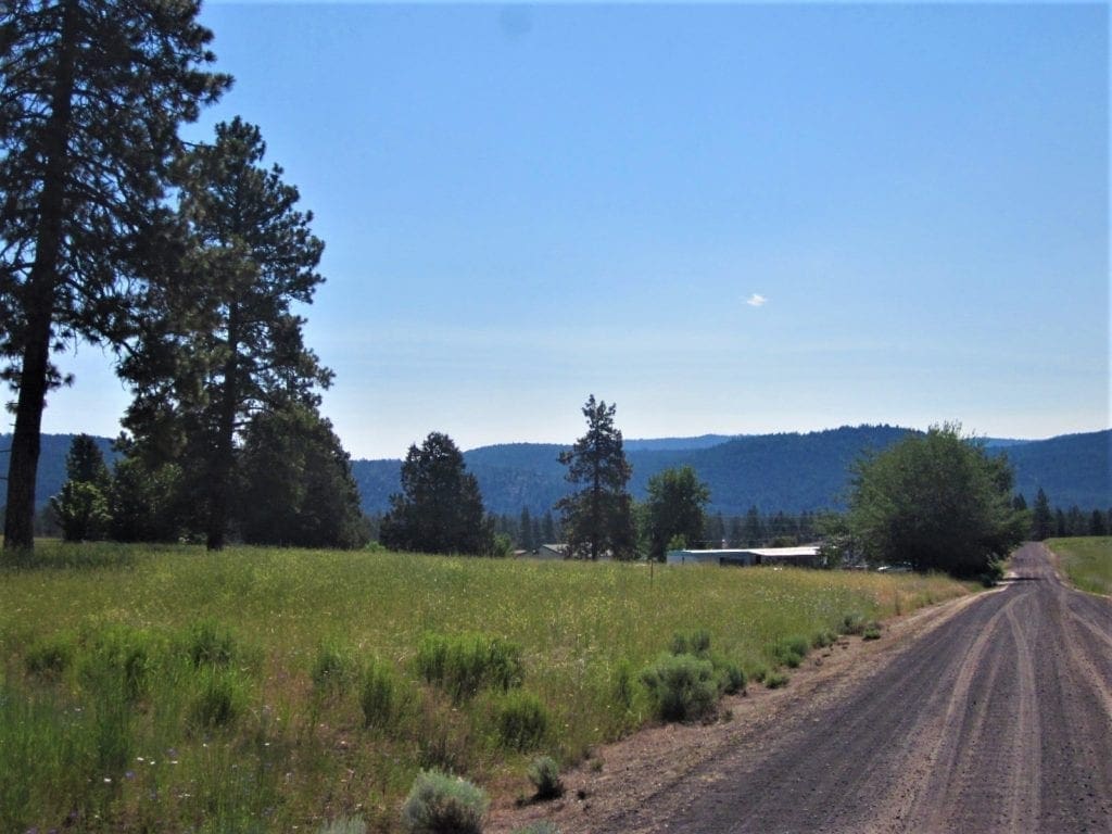 Large view of Gorgeous 0.37 Acre Building lot in Oregon Shores Photo 12