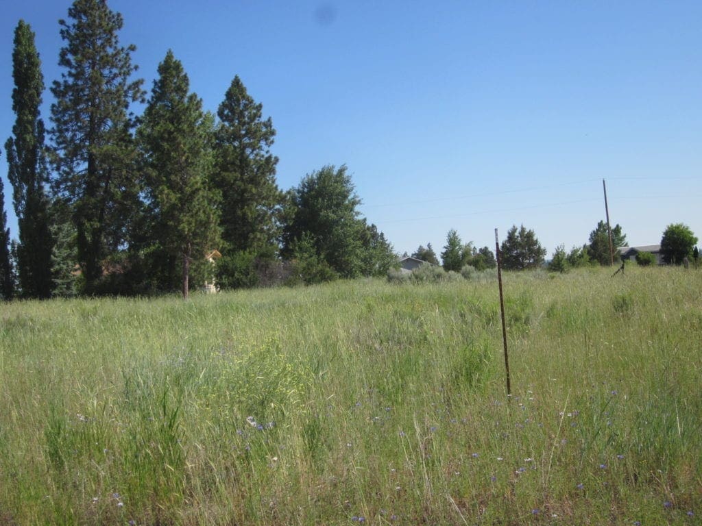 Large view of Gorgeous 0.37 Acre Building lot in Oregon Shores Photo 13