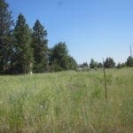 Thumbnail of Gorgeous 0.37 Acre Building lot in Oregon Shores Photo 13