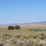 Thumbnail of 2730 North 1371 East Street Ely Nevada Backs Creek & BLM Lands Photo 33