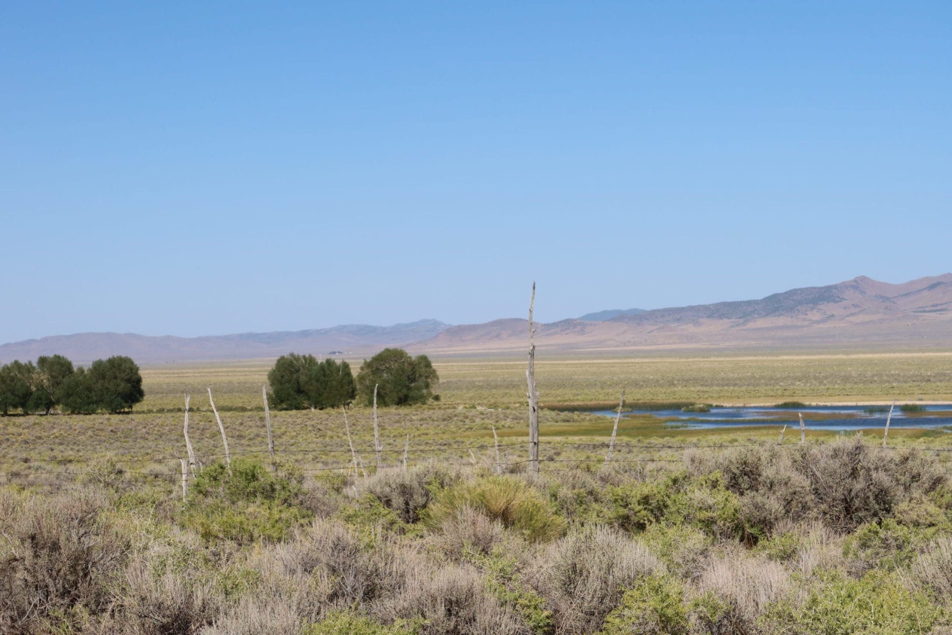 2730 North 1371 East Street Ely Nevada Backs Creek & BLM Lands photo 33