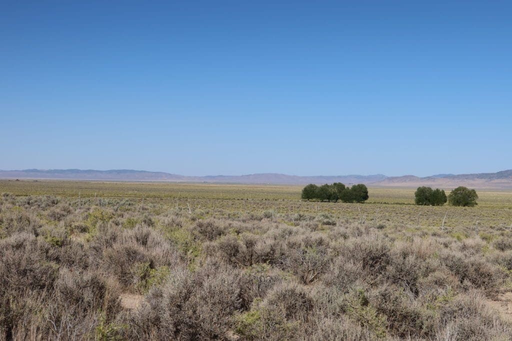 Large view of 2730 North 1371 East Street Ely Nevada Backs Creek & BLM Lands Photo 34