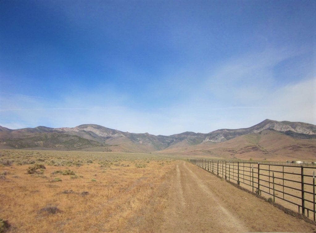 Large view of 160 Acres in Coyote Canyon Base of Star Peak Completely Surrounded by BLM, Treed with Spring Water near Historic Unionville, Nevada Photo 3
