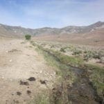 Thumbnail of 160 Acres in Coyote Canyon Base of Star Peak Completely Surrounded by BLM, Treed with Spring Water near Historic Unionville, Nevada Photo 10