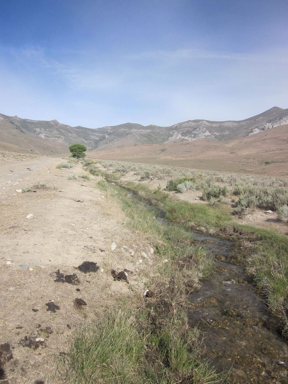 160 Acres in Coyote Canyon Base of Star Peak Completely Surrounded by BLM, Treed with Spring Water near Historic Unionville, Nevada photo 10
