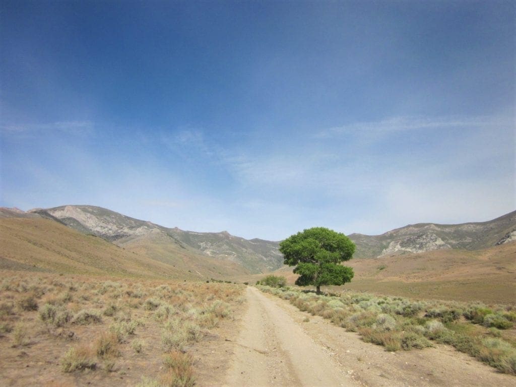 Large view of 160 Acres in Coyote Canyon Base of Star Peak Completely Surrounded by BLM, Treed with Spring Water near Historic Unionville, Nevada Photo 14