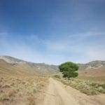 Thumbnail of 160 Acres in Coyote Canyon Base of Star Peak Completely Surrounded by BLM, Treed with Spring Water near Historic Unionville, Nevada Photo 6