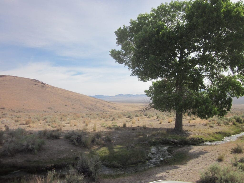 Large view of 160 Acres in Coyote Canyon Base of Star Peak Completely Surrounded by BLM, Treed with Spring Water near Historic Unionville, Nevada Photo 13