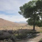 Thumbnail of 160 Acres in Coyote Canyon Base of Star Peak Completely Surrounded by BLM, Treed with Spring Water near Historic Unionville, Nevada Photo 13