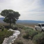 Thumbnail of 160 Acres in Coyote Canyon Base of Star Peak Completely Surrounded by BLM, Treed with Spring Water near Historic Unionville, Nevada Photo 7